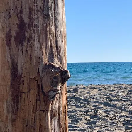Daire Casa Bianca & Turchese A Due Passi Dal Mare *